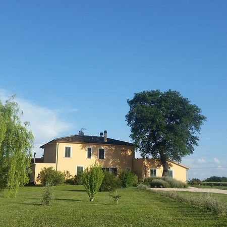 B&B Le Rose Spello Exteriér fotografie
