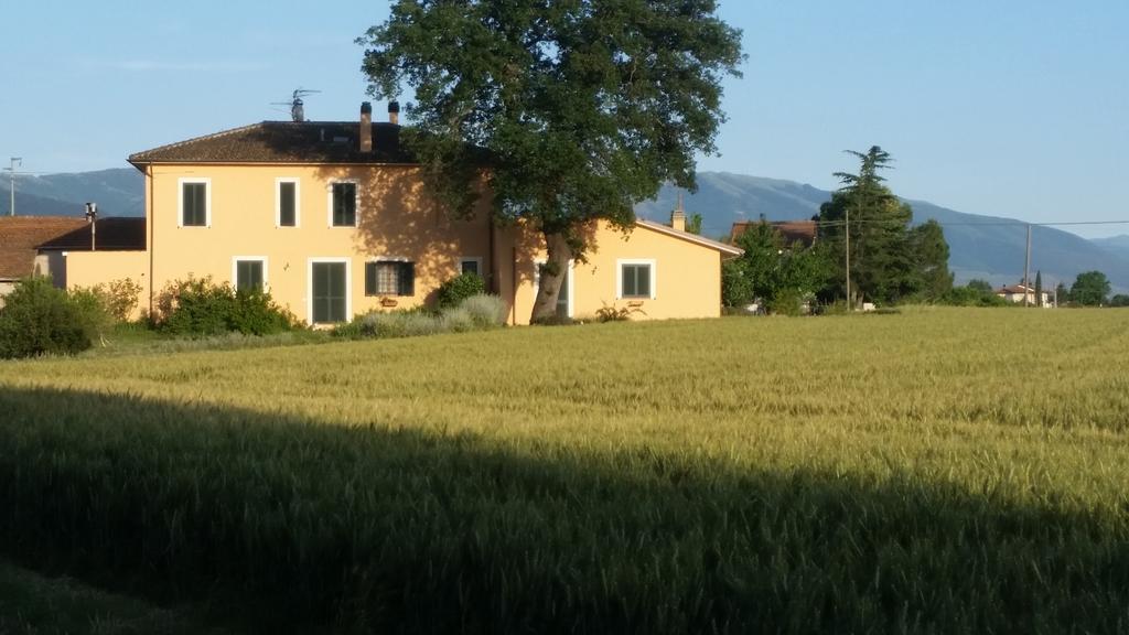 B&B Le Rose Spello Exteriér fotografie