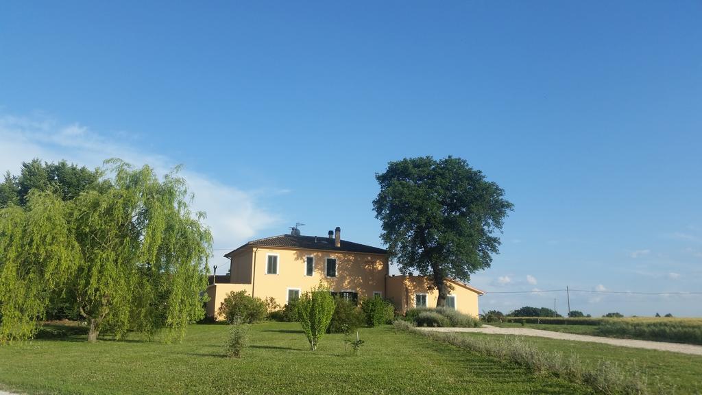 B&B Le Rose Spello Exteriér fotografie